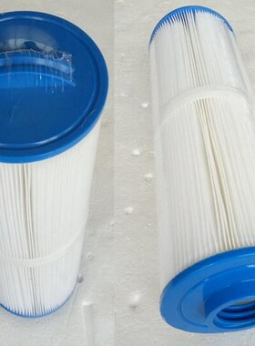 Pool Filter Cartridge for Swimming Pool Spa 4CH-949 FD2007 F