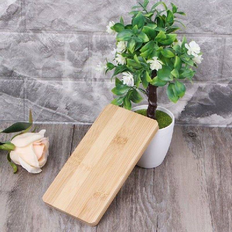 h55a rectangle shape bamboo saucer plant tray mini plant