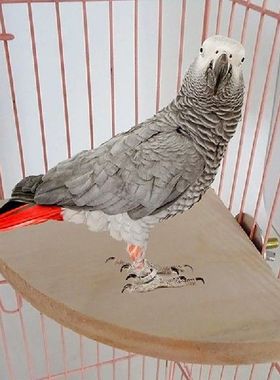 Sector Wooden Parrot Bird Cage Perches Stand Platform Toys