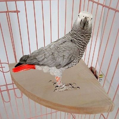 Sector Wooden Parrot Bird Cage Perches Stand Platform Toys