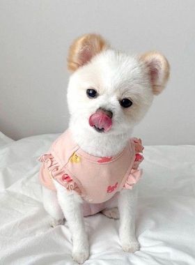 Summer Pet Dogs Clothes Ruffles Rabbit Cute Dogs Vest