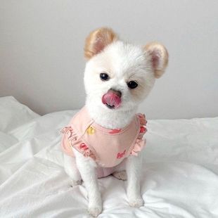 Summer Pet Dogs Clothes Ruffles Rabbit Cute Dogs Vest