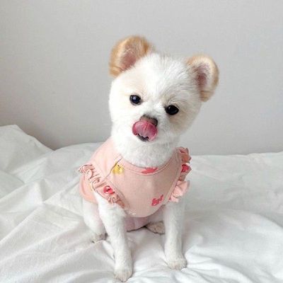 Summer Pet Dogs Clothes Ruffles Rabbit Cute Dogs Vest