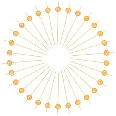 Fruit Picks Skewers Toothpicks Appetizer Cocktail Party