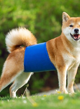 Dog Diaper Pants Sanitary Physiological Pant Female Dog