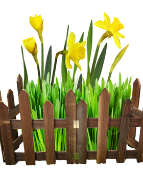 Garden Picket Fence Decorative Edging For Landscapinggarden