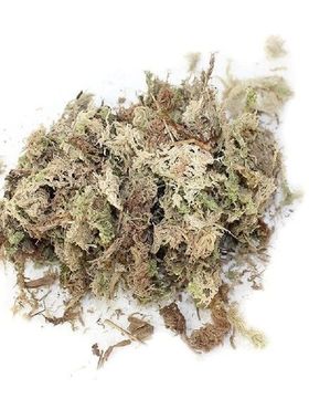 Water Moss Dry Moss Water Grass Substrates for Orchid