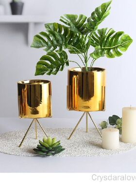 Nordic Electroplated Ceramic Flower Pot Rose Gold Silver