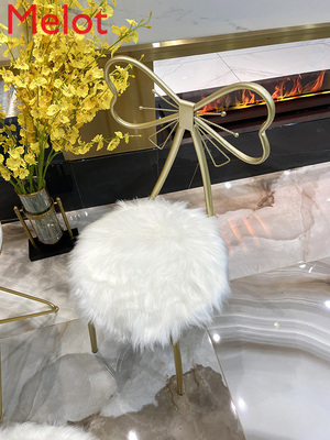 Customized Modern Minimalist Dresser Stool INS Dining Chair
