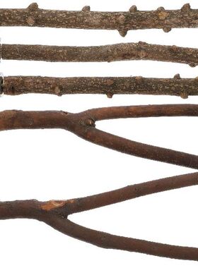 1 Set/5pcs Paw Grinding Parrot Perch Stand Bird Cage