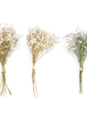 3 Bunches Permanent Dried Flowers Babysbreath Bouquet