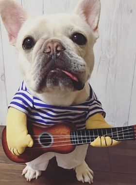 Lovely Guitar Player Pet Dog Clothes Party Cosplay Puppy