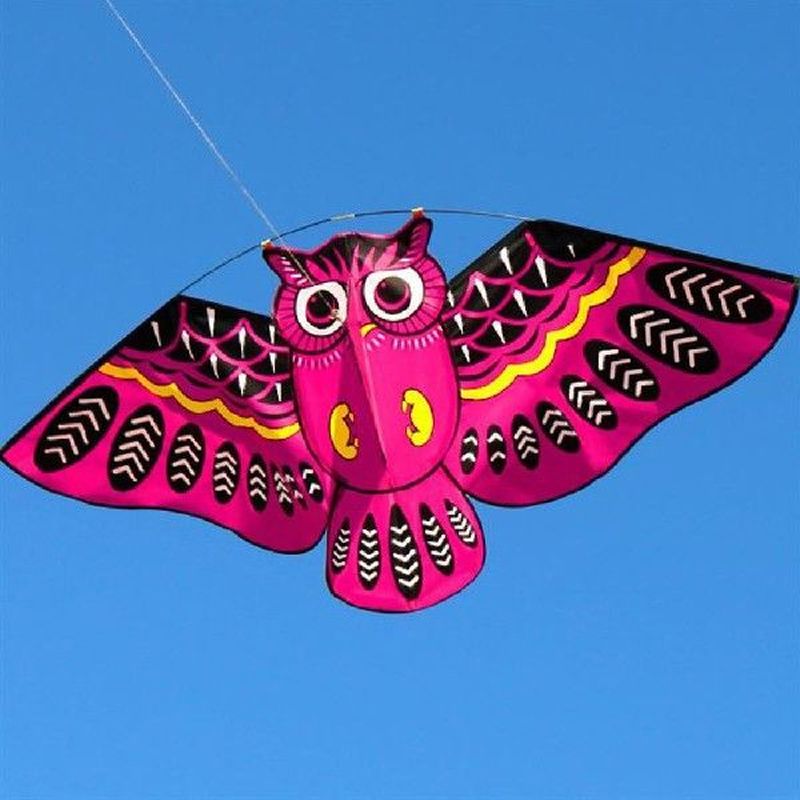 3d Owl Kite Ids Toy Educational Parent-child Exchange