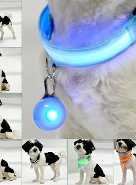 Nylon LED Pet Dog Collar Night Safety Flashing Glow In The