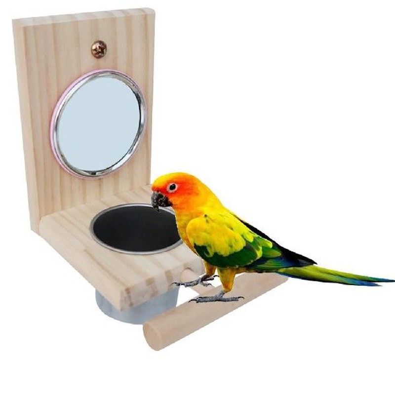 Bird Bowl Hanging Mirror Funny Wooden For Parrots Cockatiel