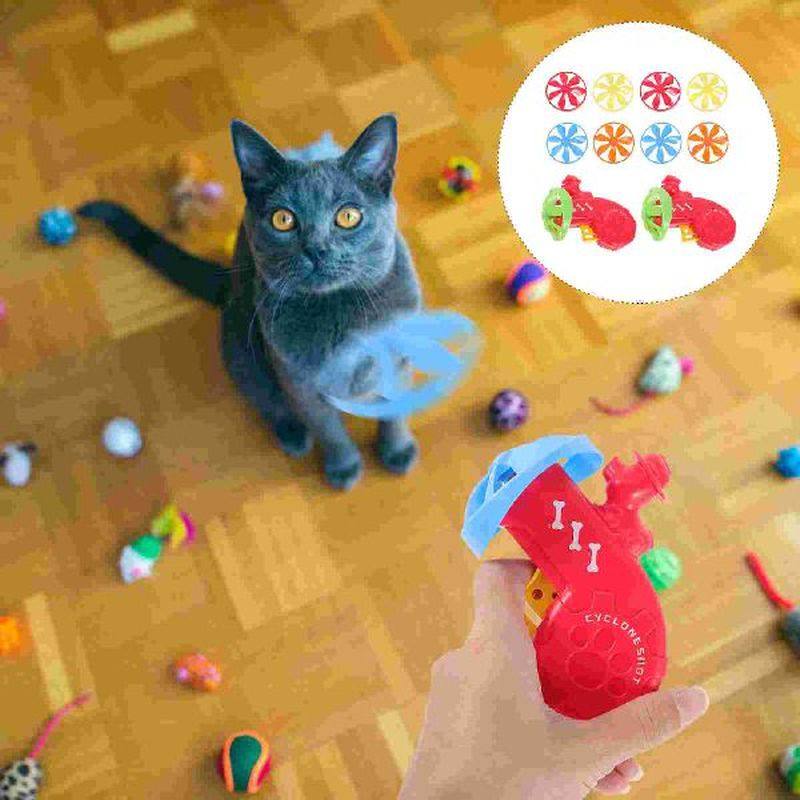 cat toyflying saucer cats teasing fetch interactive