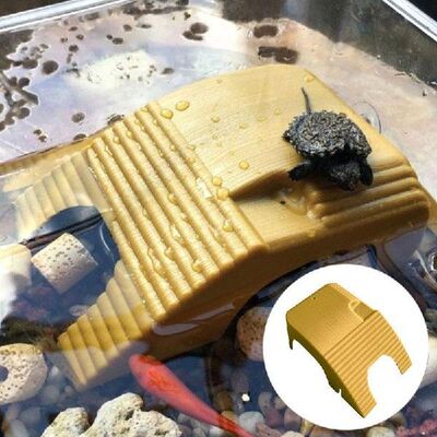 Aquarium Turtle Platform Basking  Aquarium Amphibian