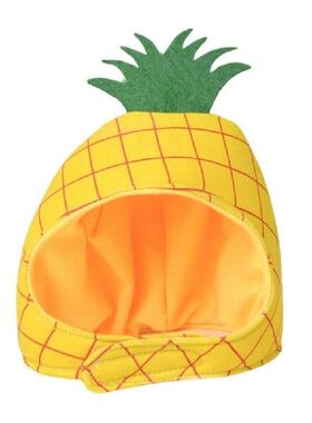 Dog Hat Pineapple Costume Winter Headwear For Dog Cute