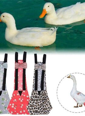 Pet Diapers Chicken Shit Paper Diapers Prevent Messy