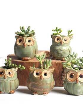1pcs Cartoon Owl aped Succulent Plant Ceramic Flowerpot