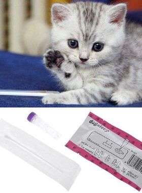 Test Paper Home Health Detection For Feline Panleukopenia