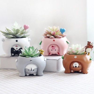 Fleshy plant pots ornaments personalized creative animal