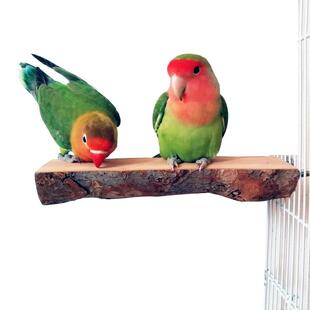 Pet Bird Parrot Wood Platform Stand Rack Toy Parrot Cage