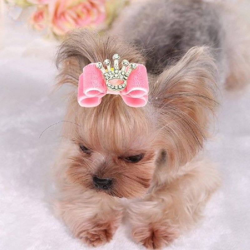dog grooming bows crystal crown cat dog hair bows small pog