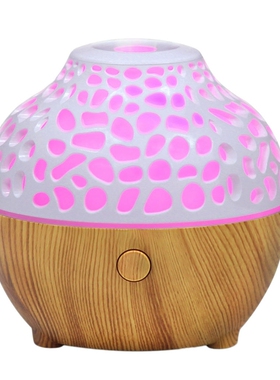Aromatherapy Diffuser Air Humidifier with LED Light Home