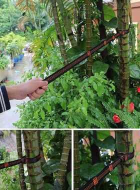 Tali Tempat Tidur Gantung Pohon Yang Dapat Disesuaikan Tali