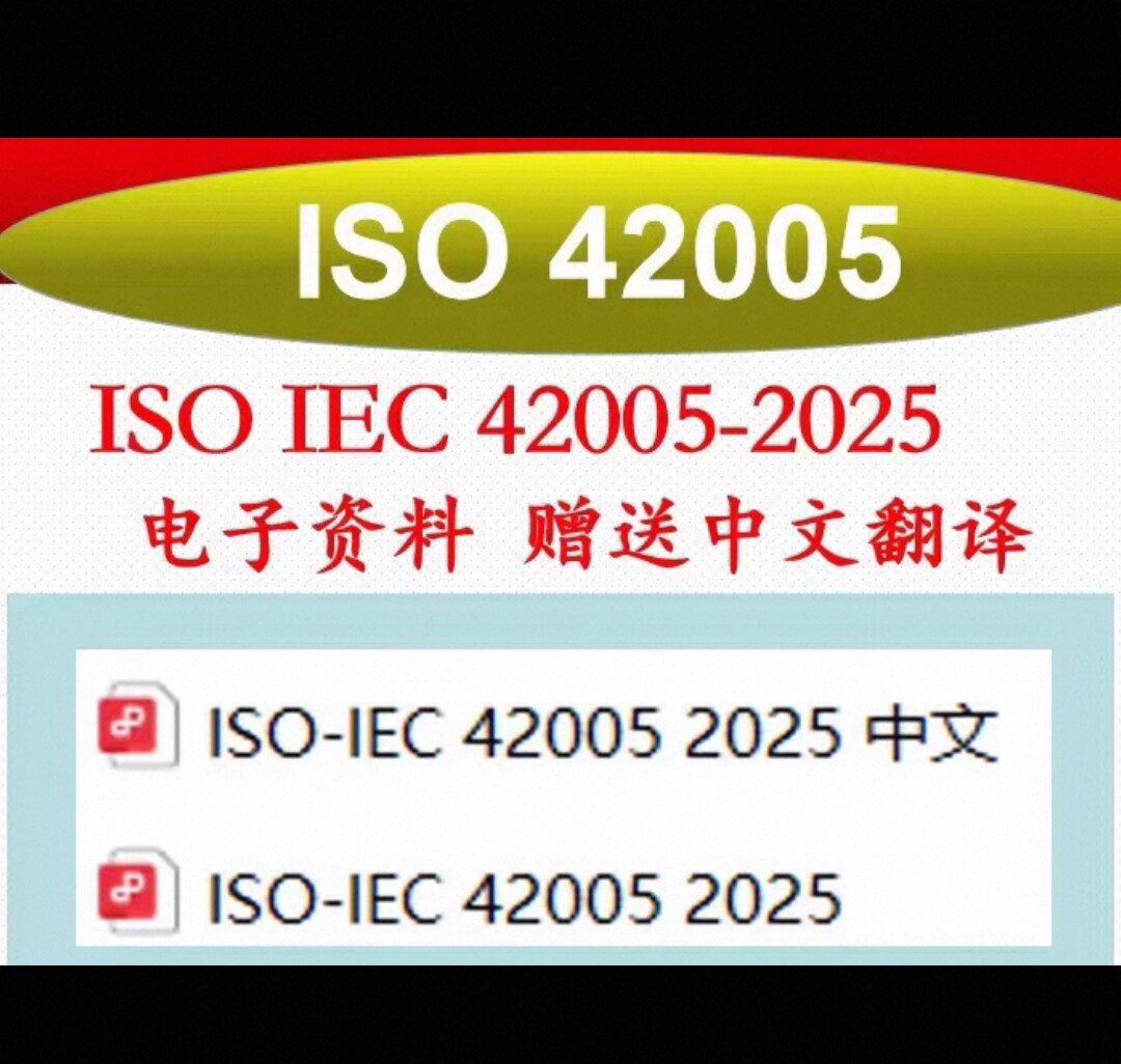 ISO 42005-2025 赠送ISO 42005-2025中文翻译 IEC 42005电子资料