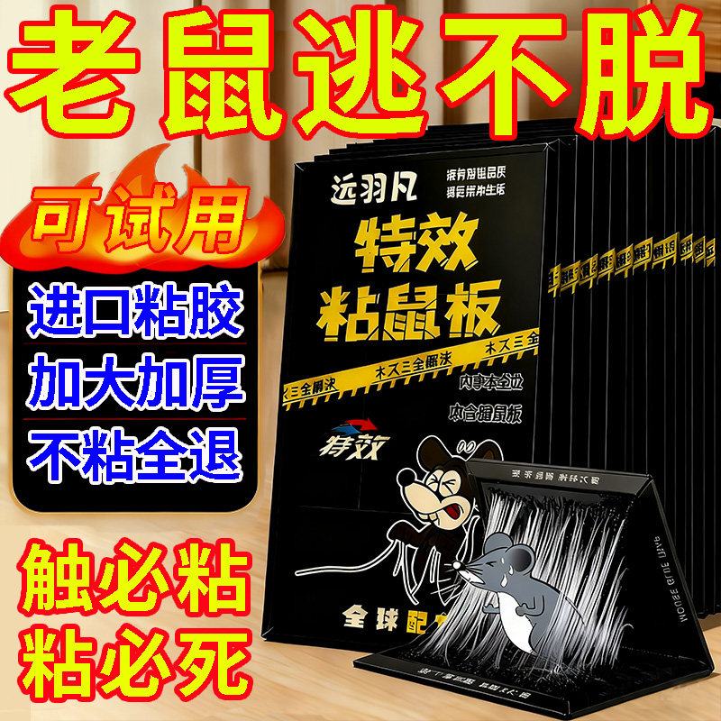 老鼠贴强力粘鼠板胶粘大老鼠贴超强家用室内黏沾捕鼠器神器捉扑器