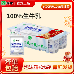 蒙牛原味酸奶8八连杯低温酸奶生牛乳发酵儿童益生菌营养早餐16杯