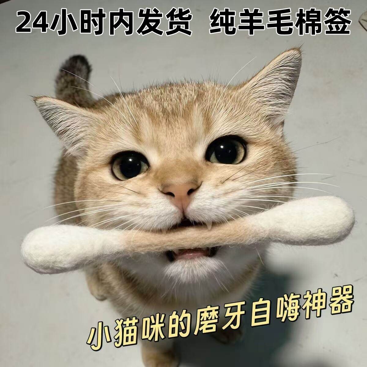 猫咪棉签玩具羊毛超大逗猫棒小猫磨牙巨型大号猫薄荷巨大棉棒