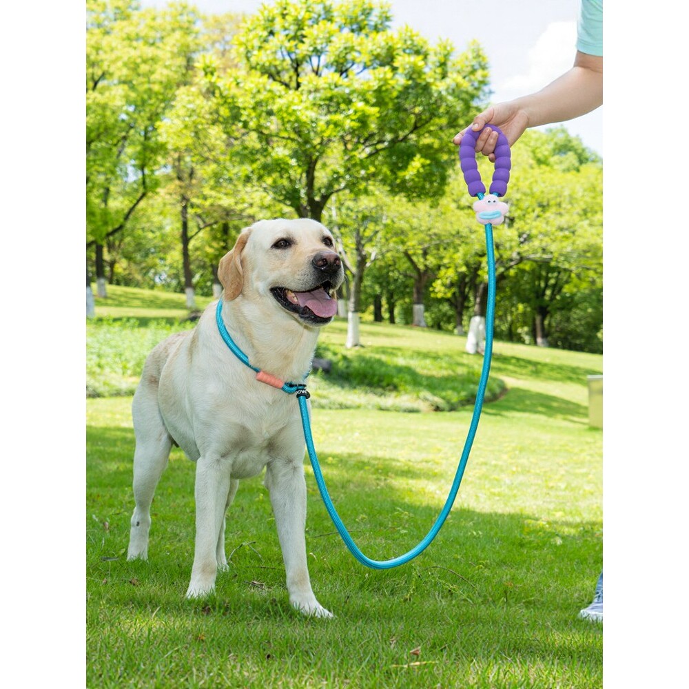 狗狗牵引绳大中型犬遛狗绳子p绳p链金毛拉布拉多狗绳可调节狗链子