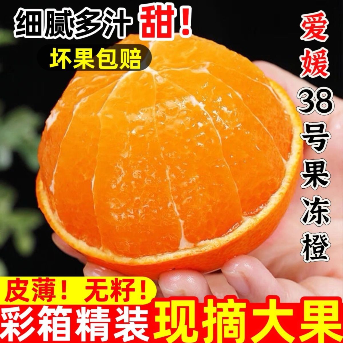 爱媛38号果冻橙现摘现发图片
