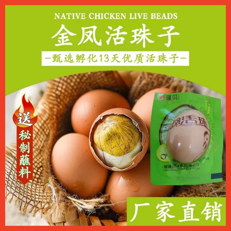 瑾贝金凤活珠子新鲜13天生的