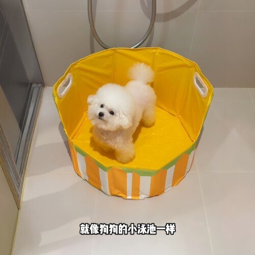 狗狗折叠便携大容量洗澡盆