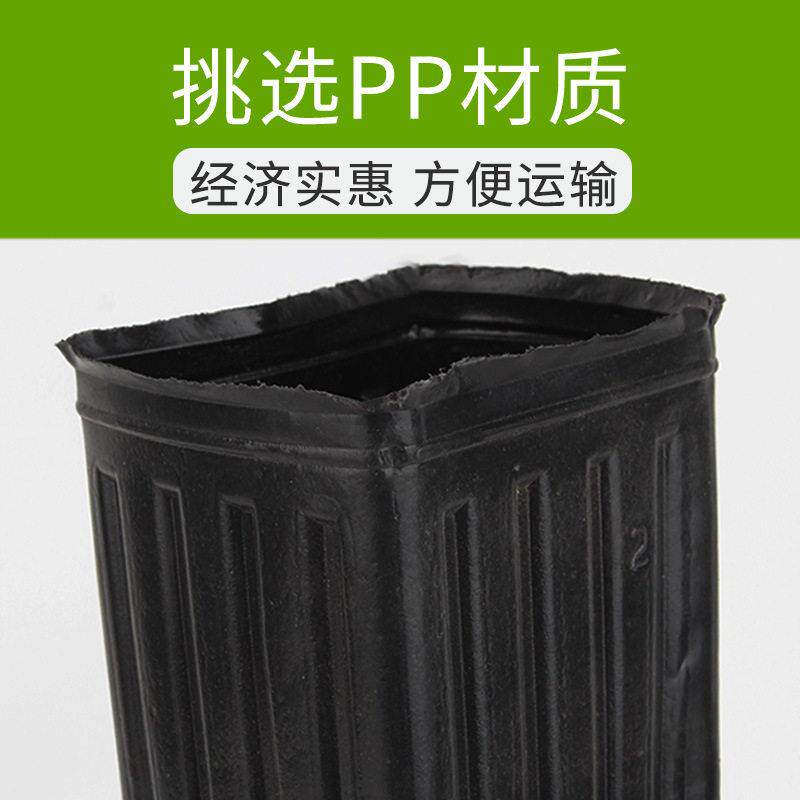 脐橙柑橘苗营养杯育苗杯一次性塑料育苗盆加加厚方口细长营养钵