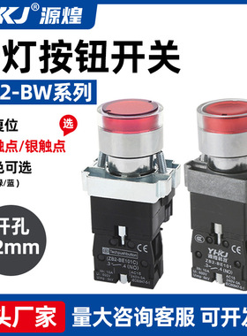 高品质银点XB2-BW3361带灯平头按钮开关 BW3362 BW3461 BW3462