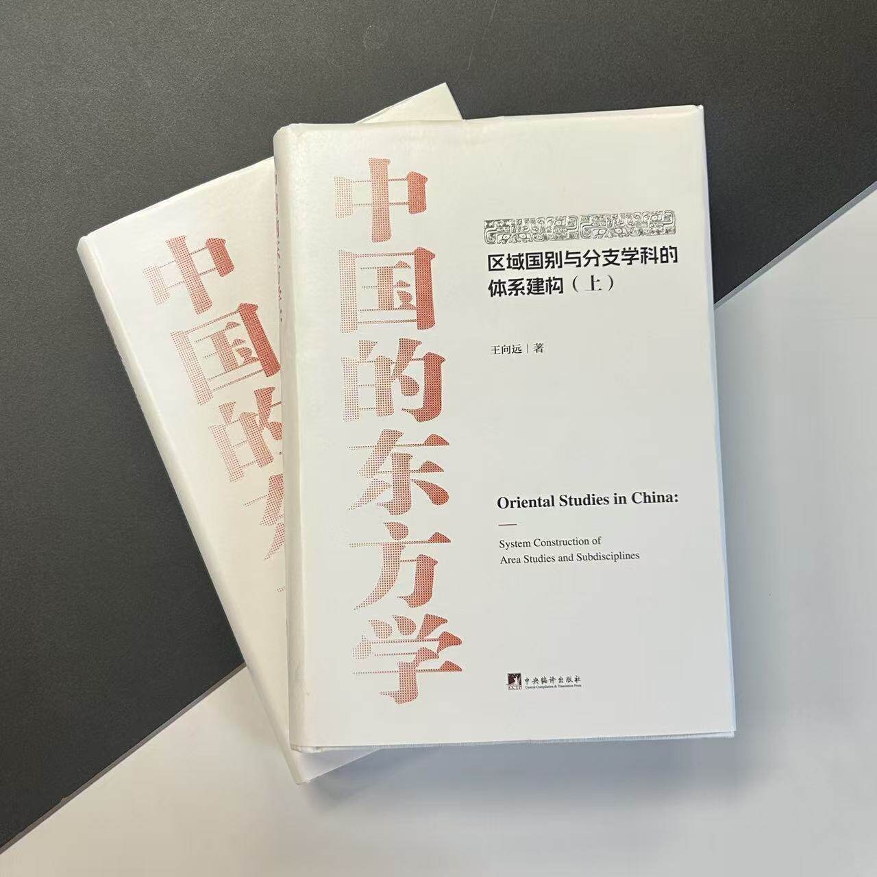 中国的东方学：区域国别与分支学科的体系建构  王向远著 16K 精装上下两卷 国家社科基金重大项目成果