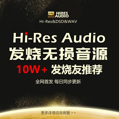 10w+发烧友推荐无损音源