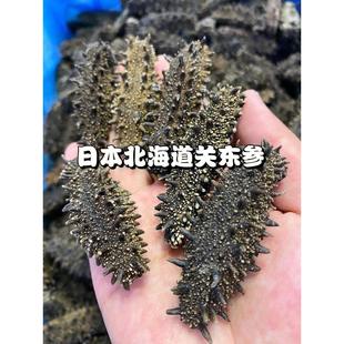 PGN野生六排刺纯淡干东非海原关干货日本北海参道俄罗斯红参大连