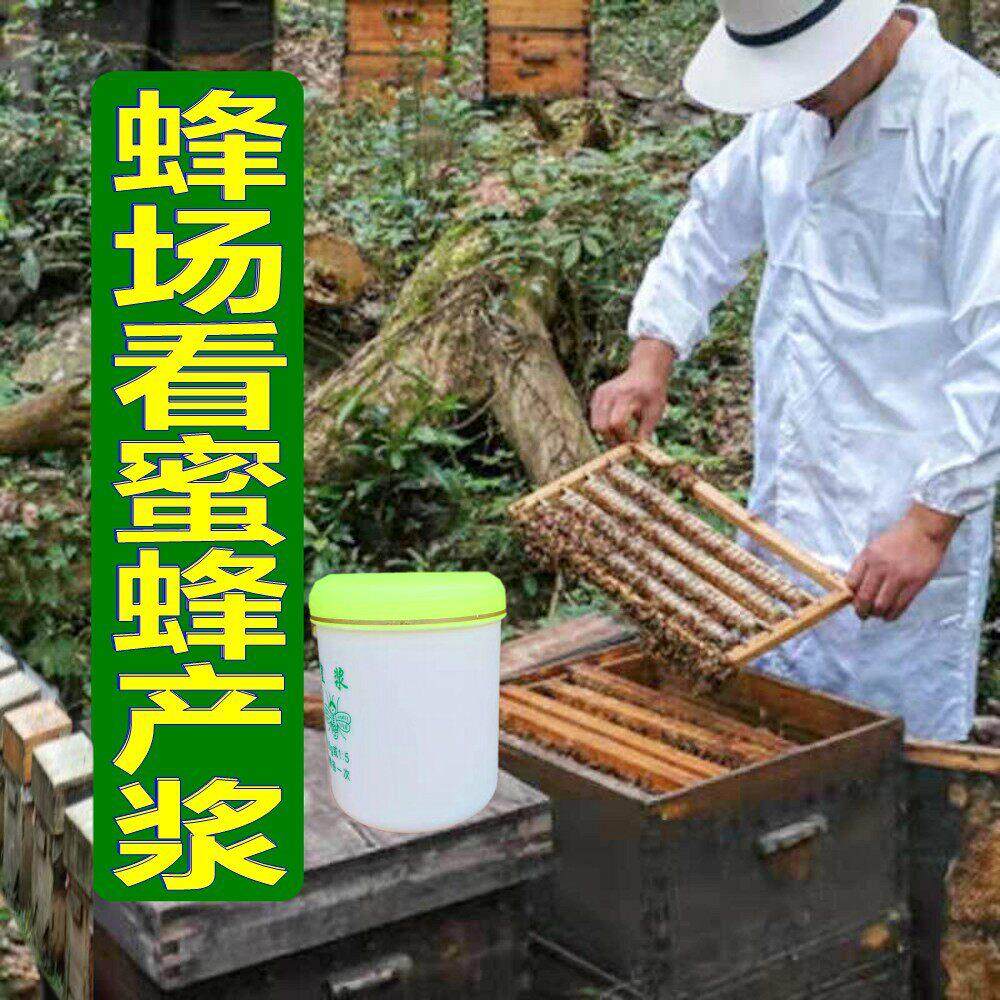 纯天然野山王蜂皇浆50克正宗正品HED龙脊田高0海拨大山区梯农家蜂
