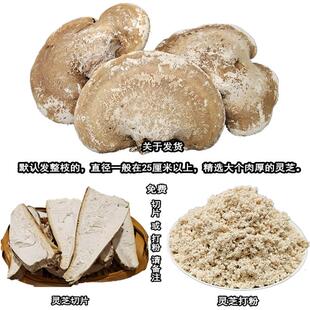 PFW长白玉山生白灵芝250g芝枝整灵芝干货桦剥管菌野白玉灵芝免费