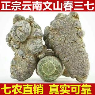 正宗云0头南文山春三七特级20头LVM30野田七滑头生无剪口正品50g