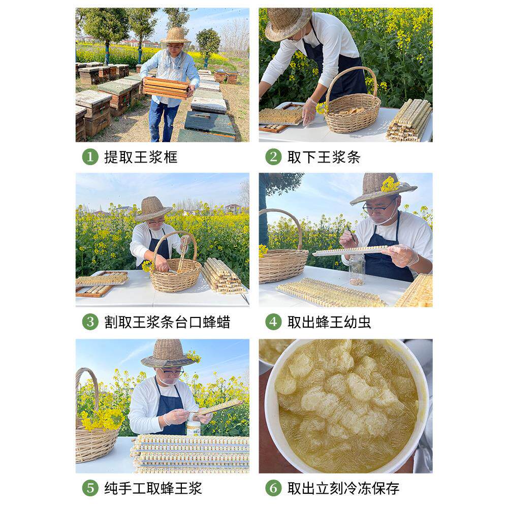 养人直销蜂送王浆纯天gNIY然正宗蜂王浆新鲜活性500蜂蜂乳[买二蜜