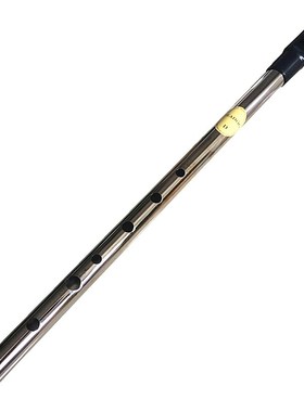 Irish Whistle Flute Feadog C D Key Tin Whistle 6 Hole Clarin