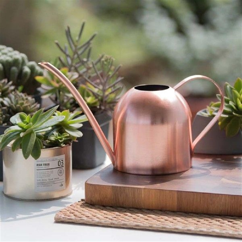 500ML Stainless Steel Long Spout Home Garden Bonsai Plant