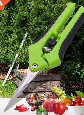 ears Pruner Secateurs Pruning Scissors Bypass arpener Cl